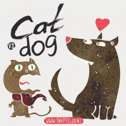 CAT vs DOG